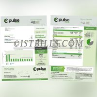 新西兰 Pulse Energy 水电账单 地址证明 New Zealand Pulse Energy electricity bill (address proof)