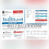 美国地址证明 密歇根州 Water And Sewerage Department 水费账单 Proof of U.S. Address Michigan Water And Sewerage Department Water Bill