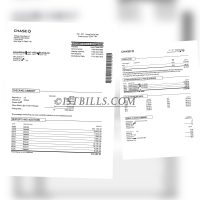 美国大通银行账单 Chase Bank Statement（美国地址证明）
