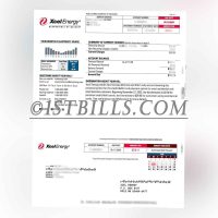 美国地址证明 科罗拉多州 Xcel energy电费账单 Proof of U.S. Address Colorado Xcel Energy Electricity Bill