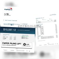 美国Capital One Bank 第一资本银行账单 带工资流水账单 Bank statement with salary statement
