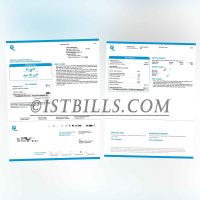 美国地址证明 佛罗里达州 FPL电费账单 Proof of U.S. Address Florida FPL Electricity Bill