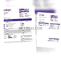 爱尔兰电费账单 地址证明  energia Electricity bill