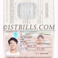 北美| 墨西哥护照 Mexico Passport PSD/photoshop/PS模板