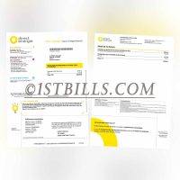 法国 Direct Energi电费账单 地址证明 法语 France Direct Energi Electricity Bill PDF