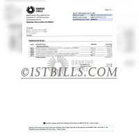 卢森堡Banking Circle S.A.银行账单 地址证明 Luxembourg Banking Circle S.A. Bank Statements and Proof of Address