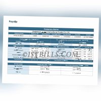 收入来源证明 Wise收入证明 China基本工资单 带公司名字 中/英文拼音名 Payslip Salary（收入证明）2