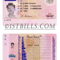 欧盟| 丹麦驾照/驾驶证PSD模板 Denmark Driving Licence PSD