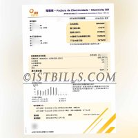 澳门地址证明 电费账单 澳门电力Cem-Macau Macau Address Proof Electricity Bill Cem-Macau