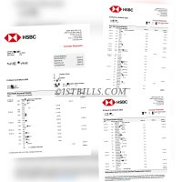 美国汇丰 HSBC US银行账单 HSBC US bank statement