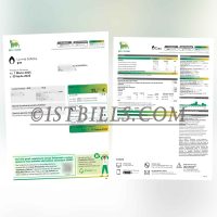 意大利Eni Plenitude天燃气费账单地址证明 Proof of address from Eni Plenitude natural gas bill, Italy