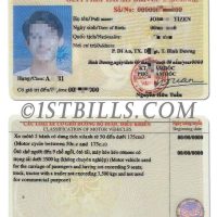 东南亚| Vietnam Driving Licence越南驾照/驾驶证PSD模板 (V2)