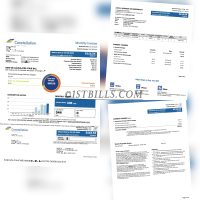 美国地址证明 电费账单 US constellation  Electricity bill