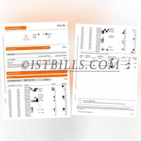 西班牙ING银行账单工资账户 Spanish ING Bank Statement Salary Account