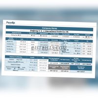 收入来源证明 Wise收入证明 China时薪工资单 Payslip Salary 带公司名字 中/英文拼音名（收入证明）