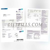 爱尔兰FLO GAS燃气费账单 地址证明 FLO GAS Ireland gas bill Proof of address