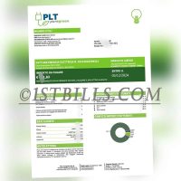 意大利PTL Puregreen电费账单地址证明 Proof of address on PTL Puregreen electricity bill in Italy