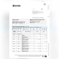 法国地址证明 BFOR 银行账单 French address proof BFOR bank statement