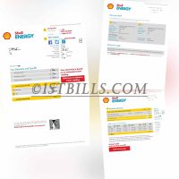 英国地址证明 电费燃气账单 ShellEnergy Electricity and Gas Bill PDF