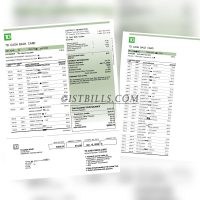 加拿大 道明银行账单 TD Bank Statement（加拿大地址证明）