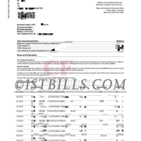 美国社区联邦银行账单 地址证明 American Community Federal Bank Statement Proof of Address