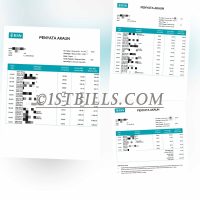 东南亚 马来西亚银行账单 Malaysia BSN Bank Statement 马来西亚地址证明pdf