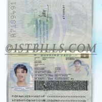 非洲 | 西非 布基纳法索护照 Burkina Faso Passport PSD/photoshop/ps模板