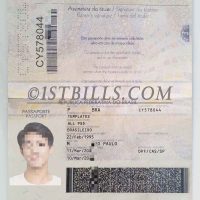 南美| 巴西护照 Brazil Passport Template PS/Photoshop/PSD模板（V2版）