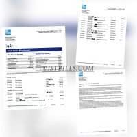 美国运通AMEX信用卡账单 地址证明 AMEX Credit Card Bill
