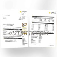 德国 地址证明 GoldGas 燃气账单 Germany Proof of address GoldGas gas bill