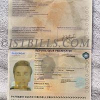 欧洲| 法国护照 France Passport PSD/photoshop/PS模板