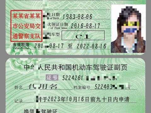 中国|驾照/驾驶证PSD模板China/Chinese Drivers License/DL/ps/photoshop/PSD（V2）