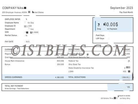 美国收入证明 工资单 收入来源 U.S. income certificate pay slip income source