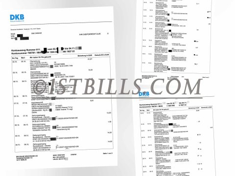 德国DKB银行账单 欧盟地址证明 Germany DKB Bank Statement PDF