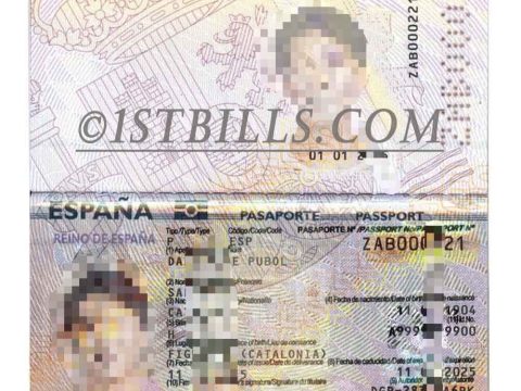 欧盟|Spain Passport西班牙护照PSD/photoshop/PS模板（V2版）