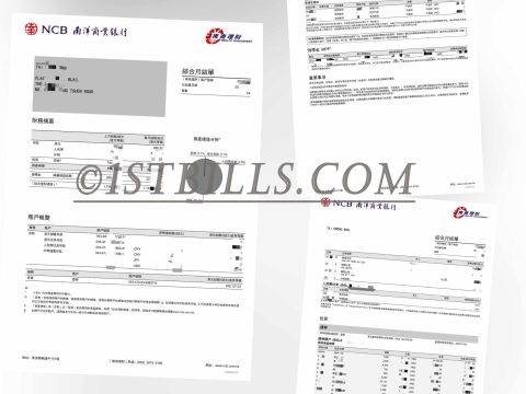 香港南洋商业银行 Hong Kong NCB Bank Statement 中国香港地址证明PDF