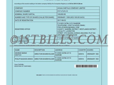 肯尼亚营业执照pdf模板 Kenya Business Registration Certificate pdf