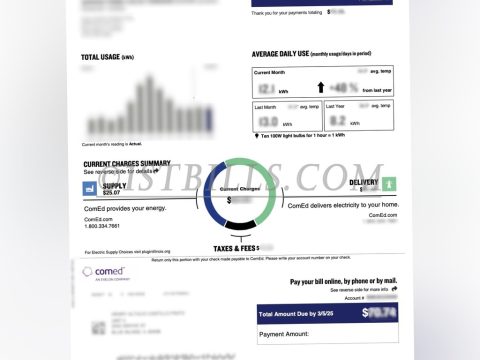 美国伊利诺伊州 水电费账单 Comed 电费 地址证明 Illinois, USA - Utility Bill (Comed) - Electricity Bill - Proof of Address