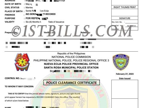 菲律宾无犯罪记录证明 Philippines Criminal Record Certificate