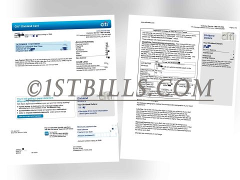 美国花旗银行 信用卡账单 地址证明 Citibank Credit Card Statement Proof of Address