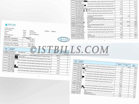 格鲁吉亚地址证明 TBC银行账单 Georgia TBC Bank Statement PDF