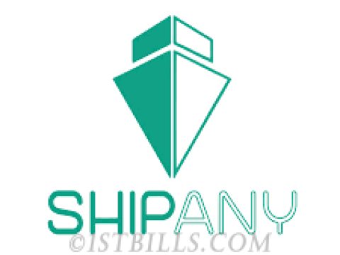 ShipAny 集成了 Paypal 作为支付服务供应商，只需简单配置即可接入使用。