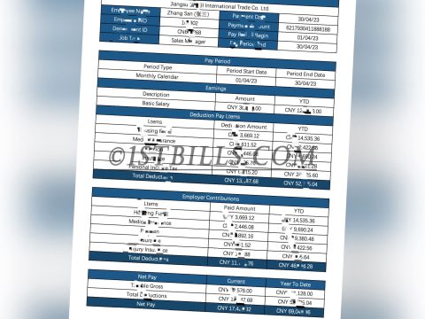 收入来源证明 Wise收入证明 China基本工资单 带公司名字 中/英文拼音名 Payslip Salary（收入证明）1