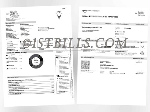 意大利 地址证明 Servizio Elettrico Nazionale 电费账单 Italy Proof of address Servizio Elettrico Nazionale Electricity bill