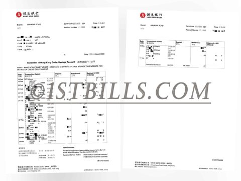 香港恒生银行 港币储蓄账单 地址证明 Hong Kong Hang Seng Bank statement Proof of address
