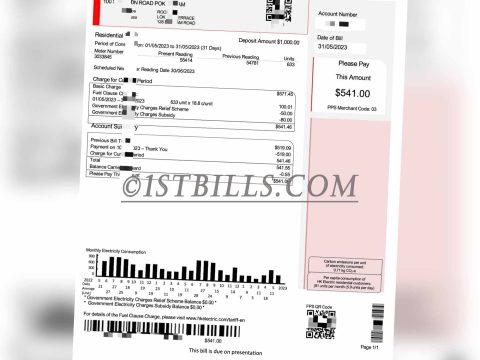 香港地址证明 电费地址证明 香港电灯有限公司 电费账单Hongkong Electric Co., Ltd. Electricity bill