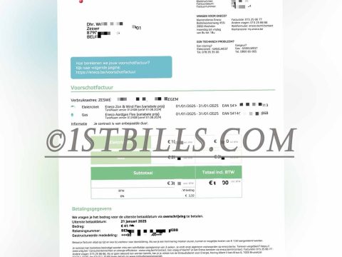 比利时地址证明eneco电费燃气账单 Belgian proof of address eneco electricity and gas bill