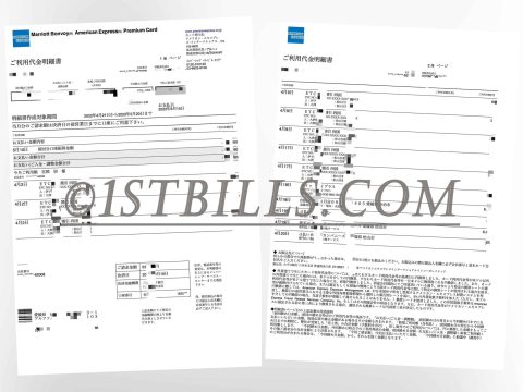 日本 美国运通信用卡日语账单 地址证明 Japanese American Express Credit Card Statement in Japanese Proof of Address