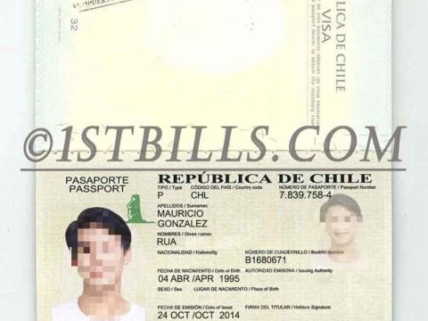 南美|拉美| 智利护照 Chile Passport PSD/photoshop/PS模板