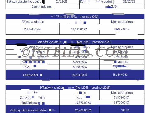 捷克工资单 捷克语收入来源证明 熊猫速汇 Pandaremit Wise Czech Republic Payslip 收入证明  Payslip Salary 带公司名字 中/英文拼音名（收入证明）